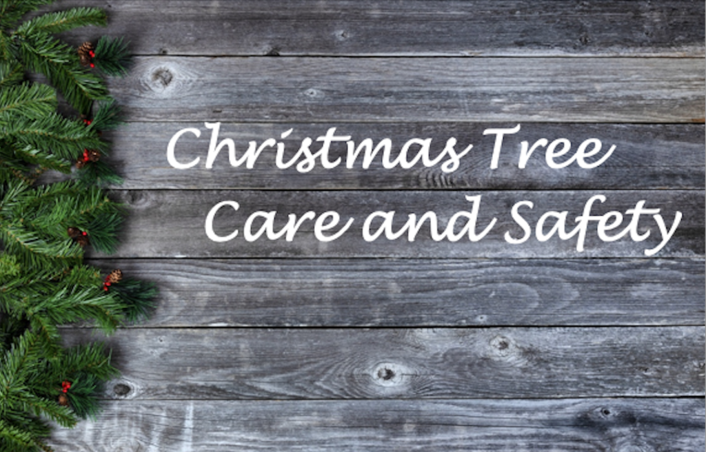 Things To Know About Christmas Tree Care And Safety, HVAC-Tips